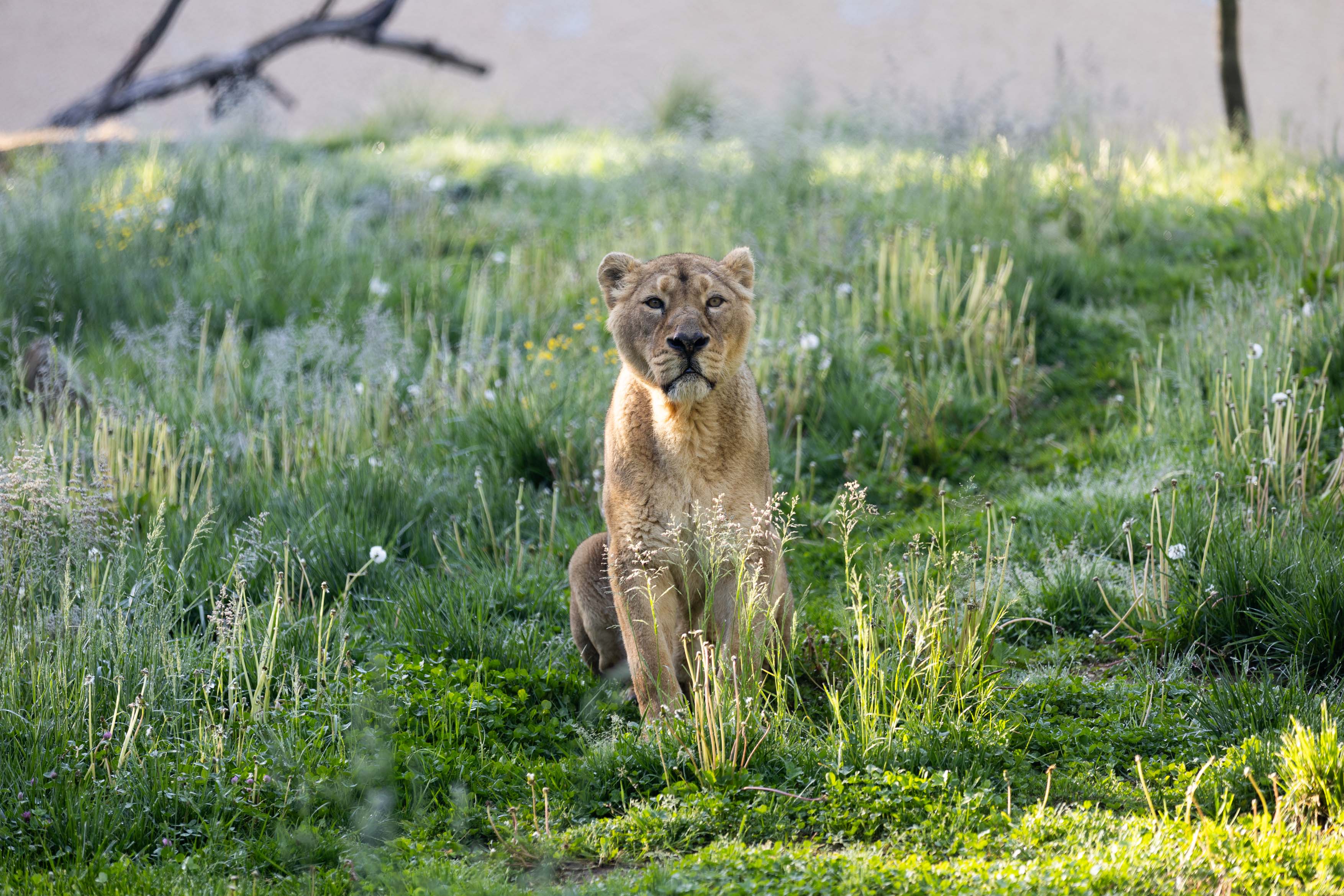 Razpisi za prosta delovna mesta v ZOO Ljubljana