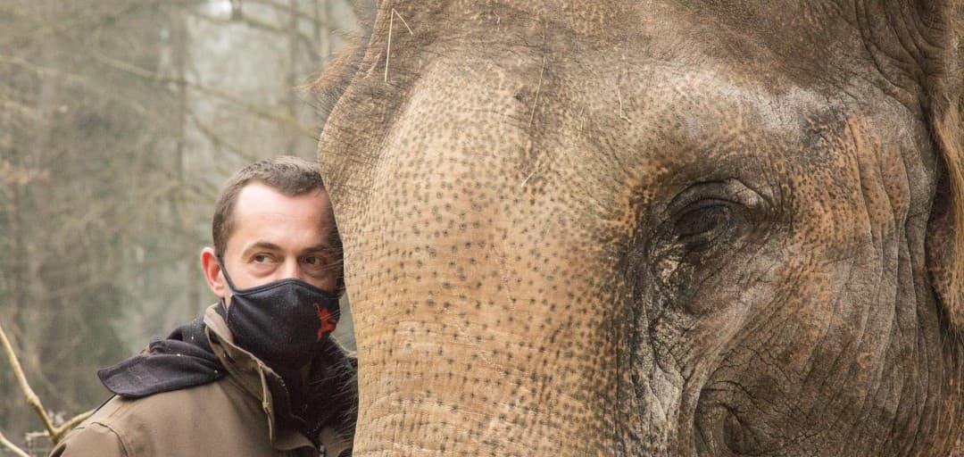 Pred obiskom ZOO-ja preberite